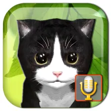 Talking Kittens virtual cat that speaks take care