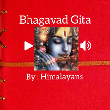 Hindi Bhagavad Gita with Audio/ Santh Saral Gita