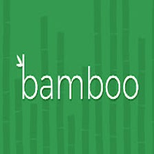 Bamboo