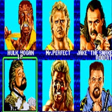 WWF WrestleFest