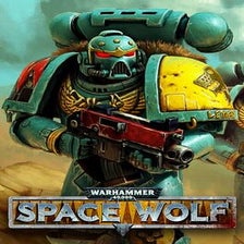 Warhammer 40000: Space Wolf