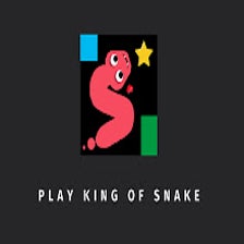 King Of Snake Game