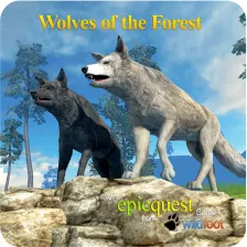 com.wolf.of.the.forest