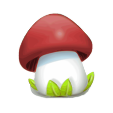 Edible Fungi