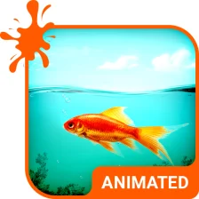 Golden Fish HD Wallpaper Theme