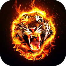 Fire Wallpaper 2023