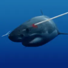 Spearfishing Shark