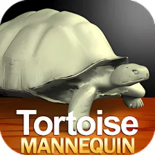 Tortoise Mannequin