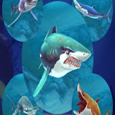 Shark.IO