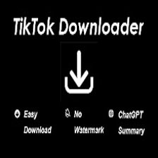 TikTok Video Downloader with ChatGPT