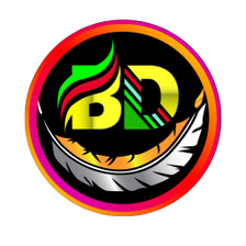 BD NET VPN APK for Android Download