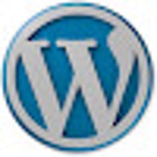 WordPress Version