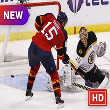 Florida Panthers New Tab Theme HD