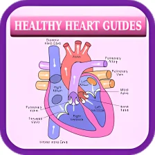 Healthy Heart Guides