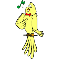 Free Singing canaries