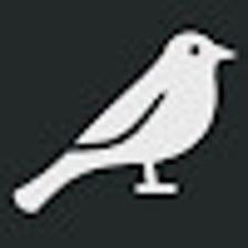 Cuckoo - Log Google Meet Chat Messages