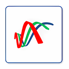 My Biorhythm