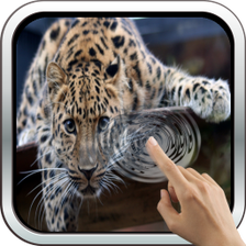 Magic Touch: Leopard Live Wall