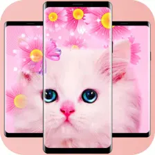 Wallpaper Kucing Imut 4K
