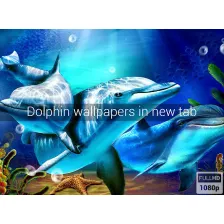 Dolphin Animal Wallpapers New Tab
