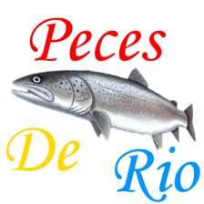 Guia de Peces de Río