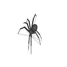 aB Spider