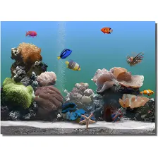 SereneScreen Marine Aquarium - Descargar