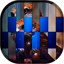 My Photo Transition Live Wallp