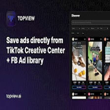 TopView video downloader