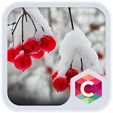Snowy Cherry C launcher Theme