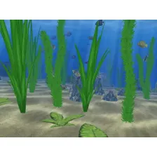 Water Life 3D Screensaver