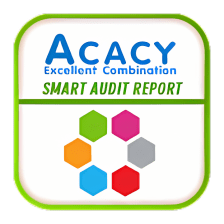 Smart Audit Report