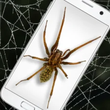Spider in Phone Funny Joke - iSpider