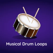 Musical Drum Loops