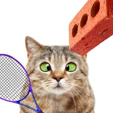 Cat Tennis - Relax Challenge