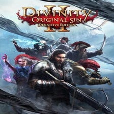 Divinity: Original Sin II - Definitive Edition for Nintendo Switch ...