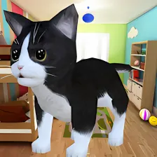 Kitten Cat Craft : Smash Room