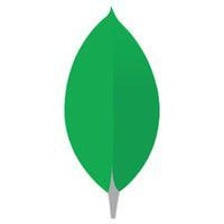 Icono de programa: MongoDB Atlas