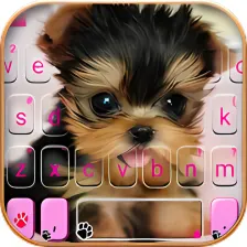 Cute Tongue Cup Puppy Keyboard Theme