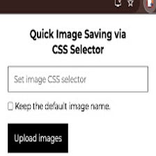 Quick Image Saving via CSS Selector Google Chrome için - Eklenti İndir