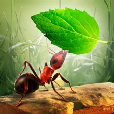 小蚂蚁部落休闲小游戏