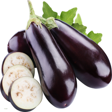 Brinjal-IFC