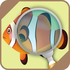 Automatic Fish Identifier