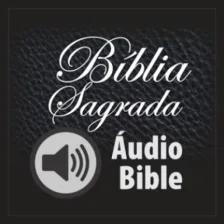 Holy Bible in Audio