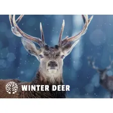Winter Deer HD Wallpapers New Tab Theme