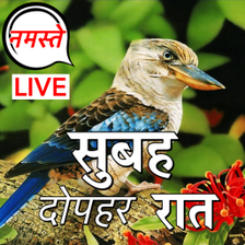Hindi Good Morning Afternoon Good Night Wishes APK for Android - Download