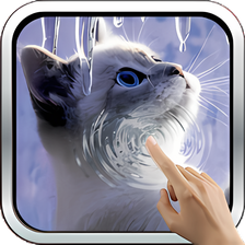 Interactive Kitten