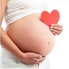 Pregnancy and Ovulation Calculator