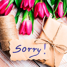 Sorry stickers for WhatsApp