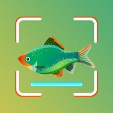 Fish Identifier - Fish Finder